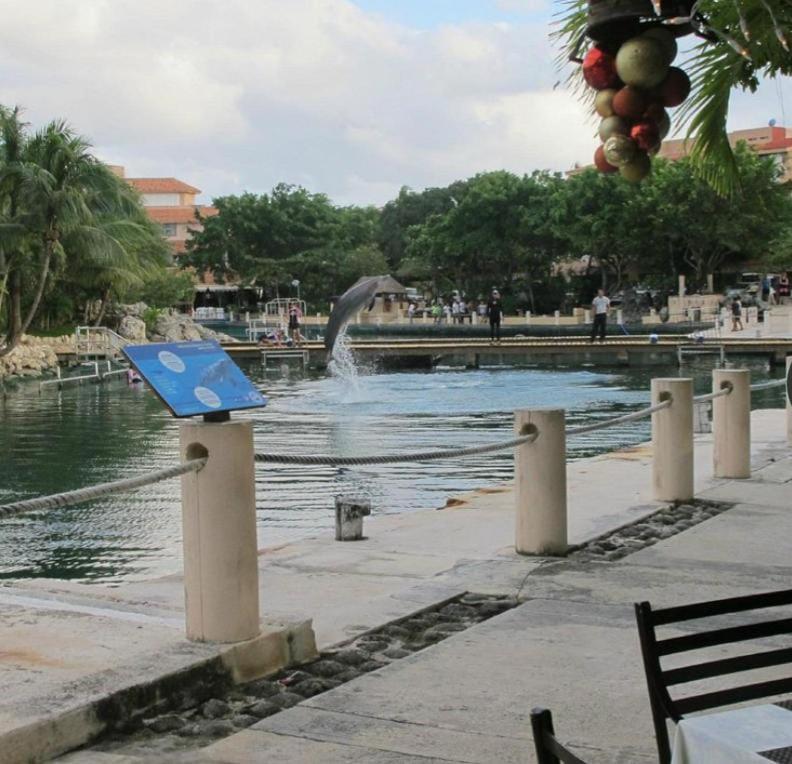 Puerto Aventuras, Departamento A Unos Pasos De La Playa Daire Dış mekan fotoğraf