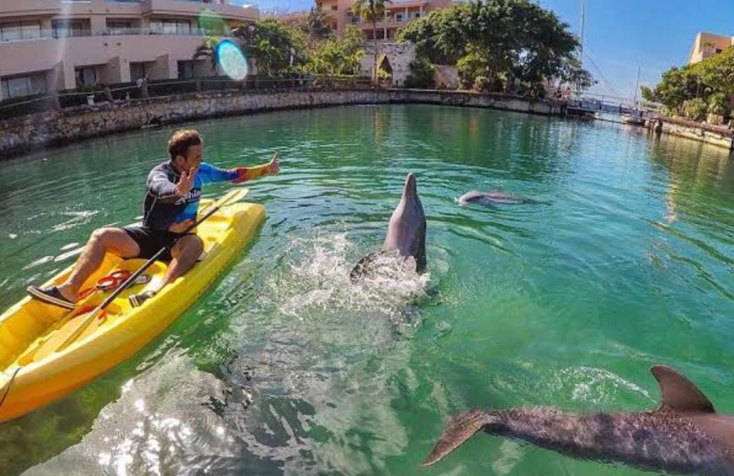 Puerto Aventuras, Departamento A Unos Pasos De La Playa Daire Dış mekan fotoğraf